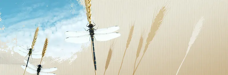电商清新唯美稻穗背景banner