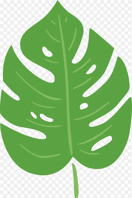 绿色热带叶子素材图