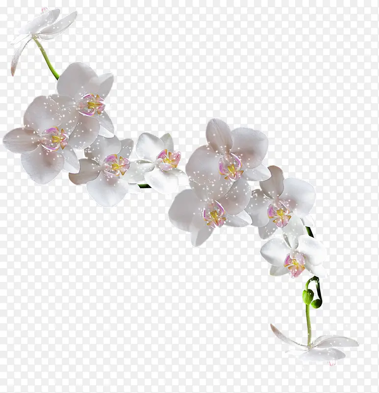 白色花朵花枝发光装饰