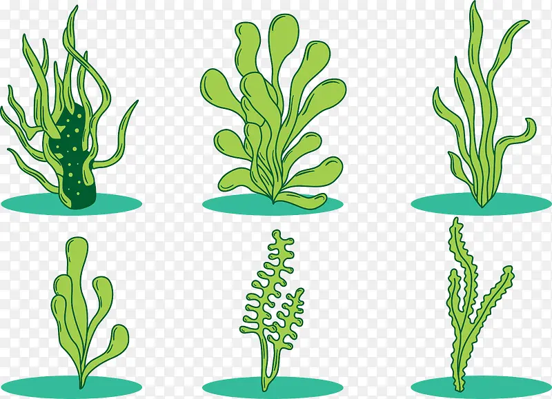 绿色海草植物合集