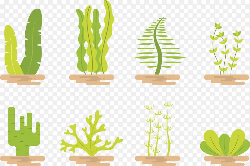 绿色海底植物