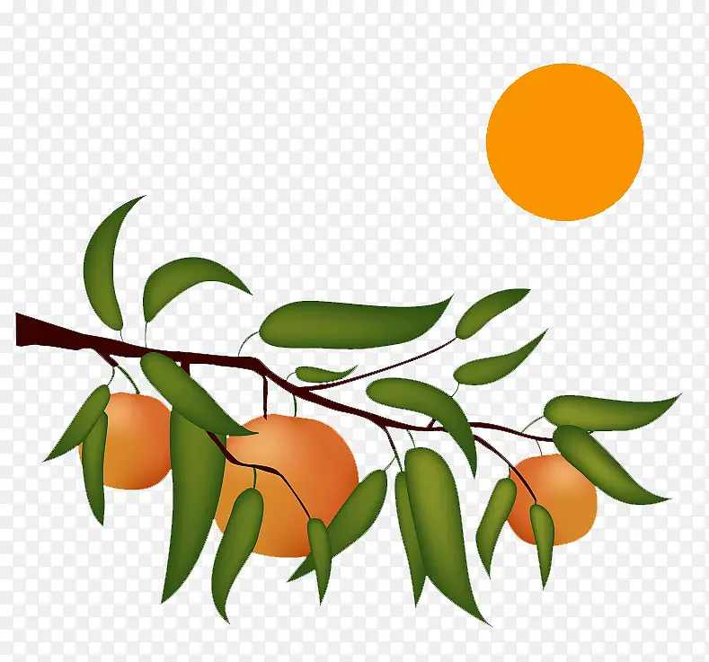 下载橘树矢量图