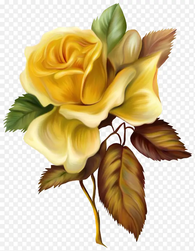 高清手绘油画鲜花