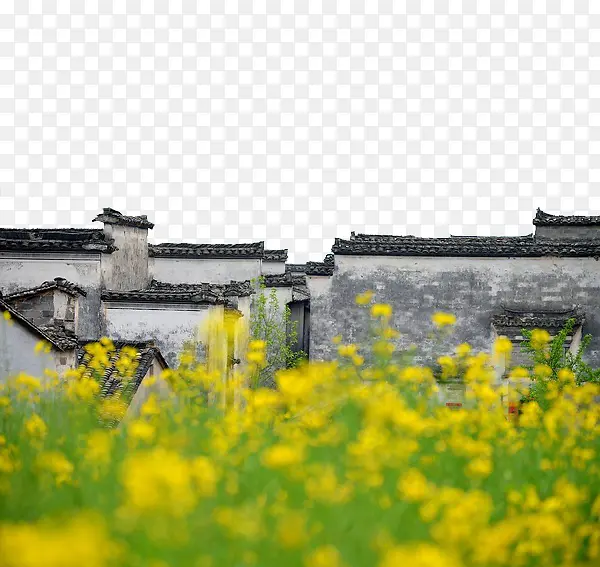 油菜花中黑瓦马头墙徽州建筑