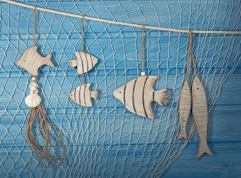 渔网与鱼