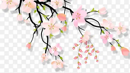 樱花彩绘花朵花枝
