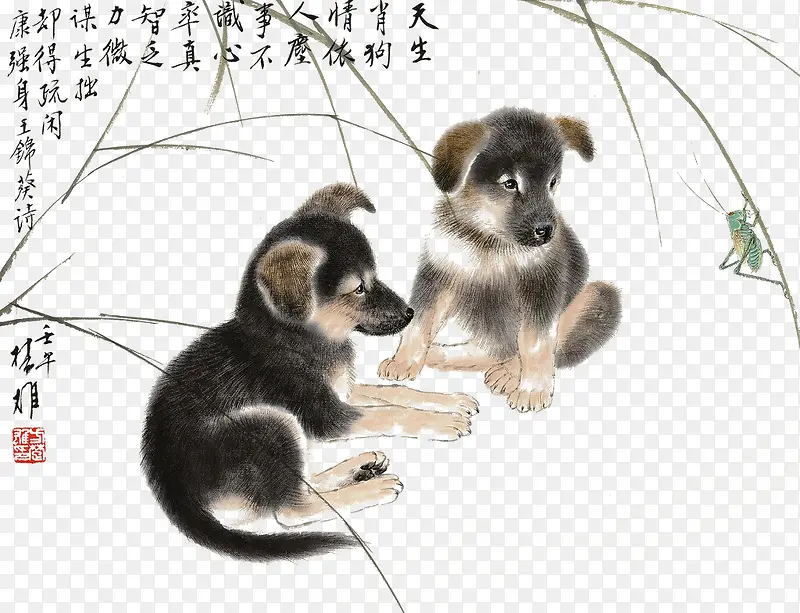 双犬乐淘淘