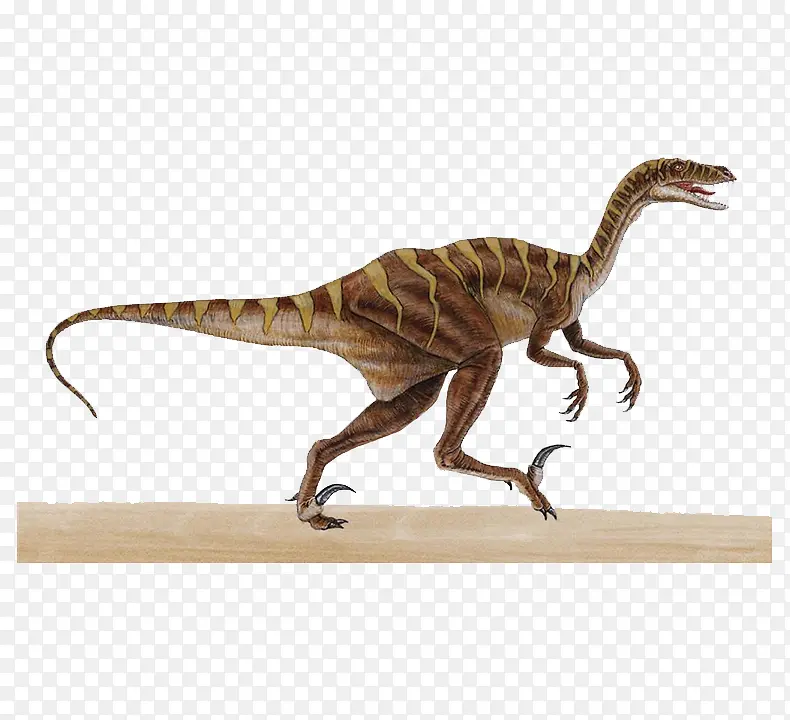 棕色纹理恐龙
