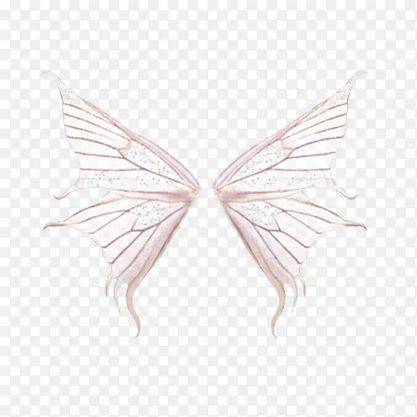 蝴蝶