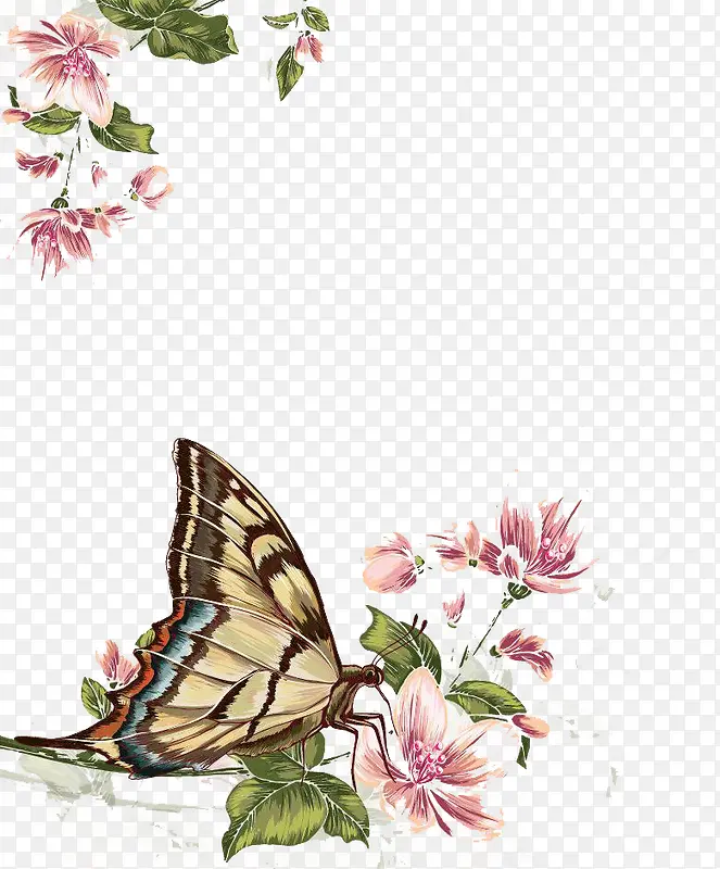 手绘花朵上的蝴蝶
