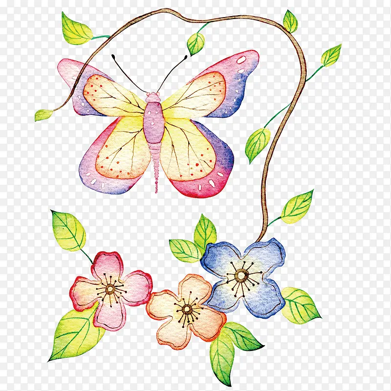 手绘花朵上的蝴蝶