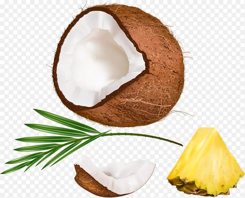 椰子和菠萝