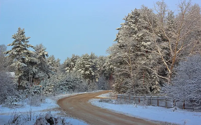 下雪后的树林和道路