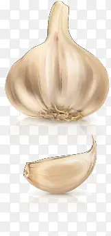 矢量蒜