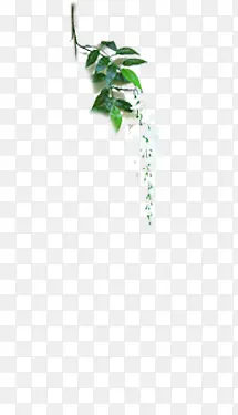 绿色植物婚礼留影区