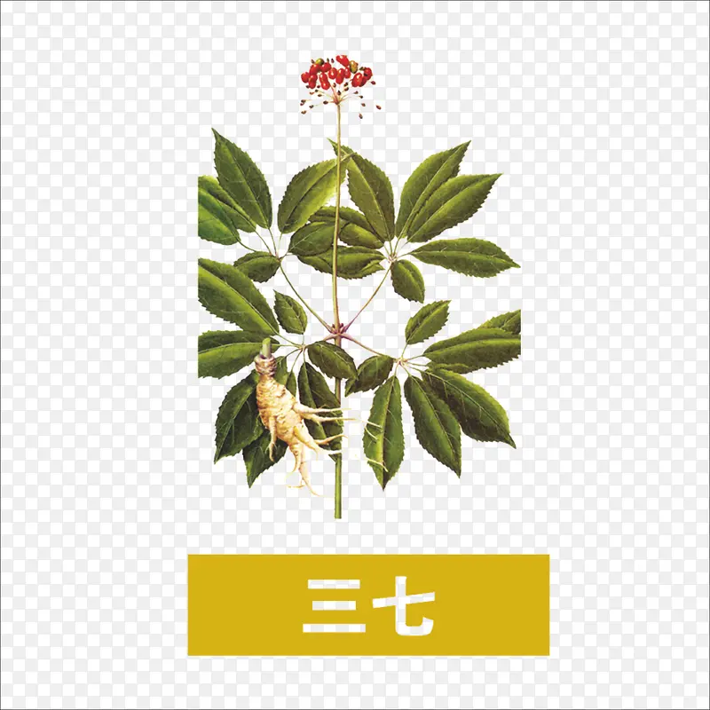 草药