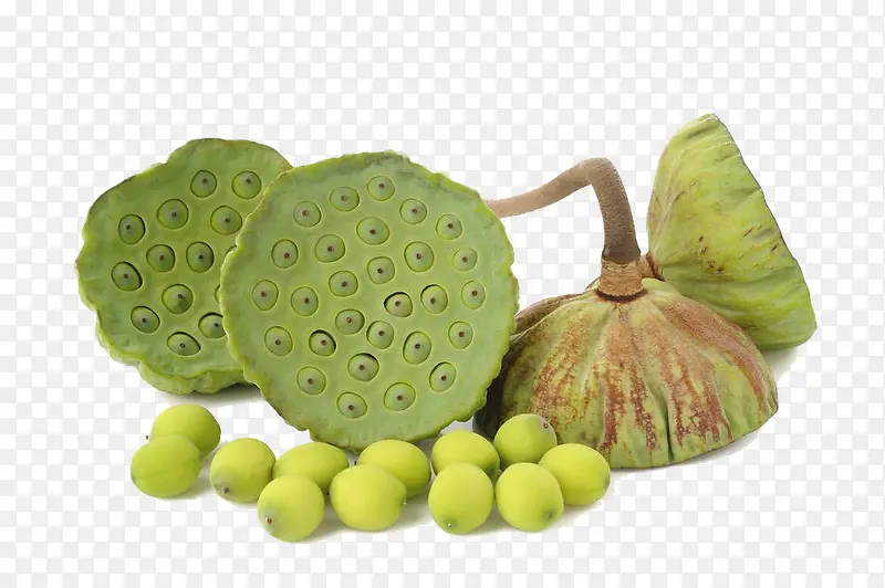 新鲜莲蓬