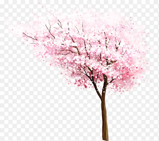 粉色樱花美景大树