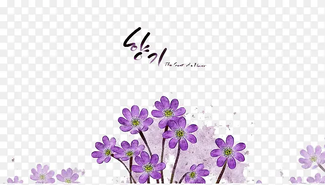 韩国风清新紫色小花背景免扣素材