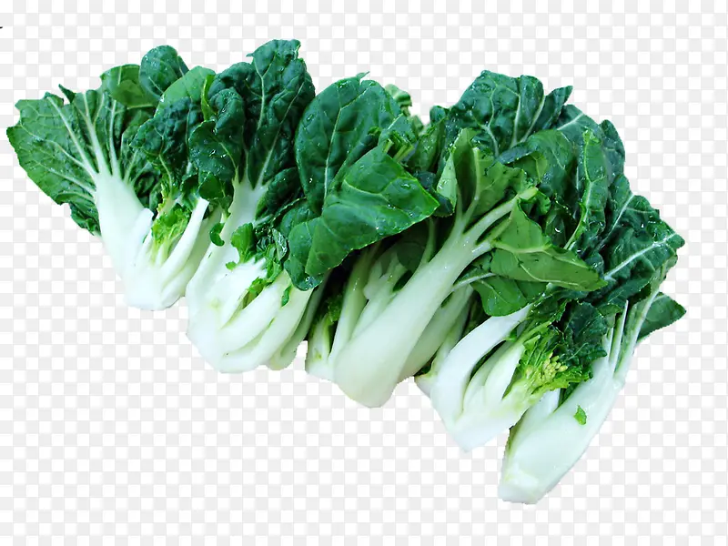 食物剪影手绘食物素材 青菜蔬菜