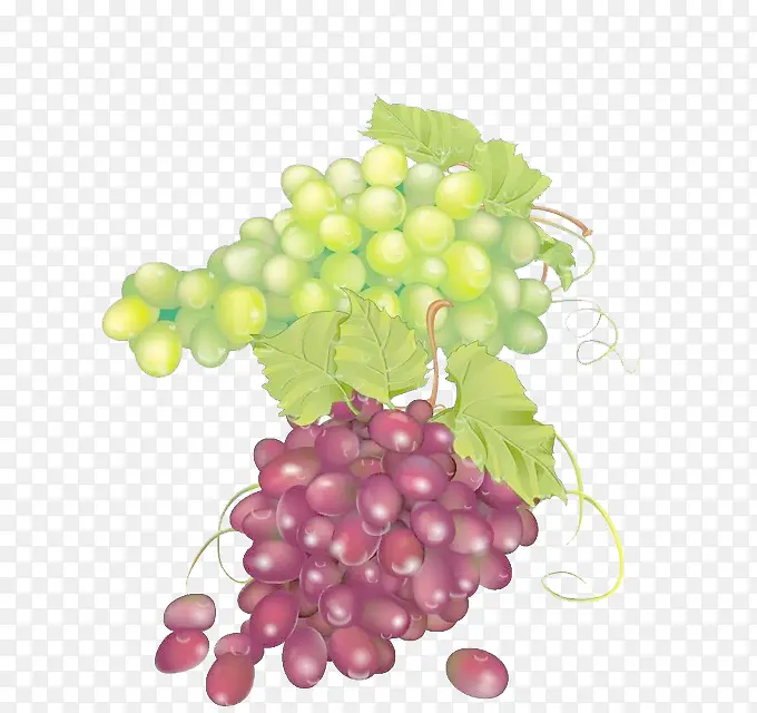 红葡萄绿葡萄
