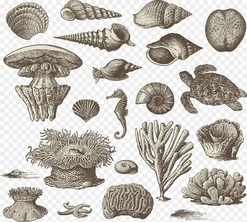 矢量手绘海底动植物合集