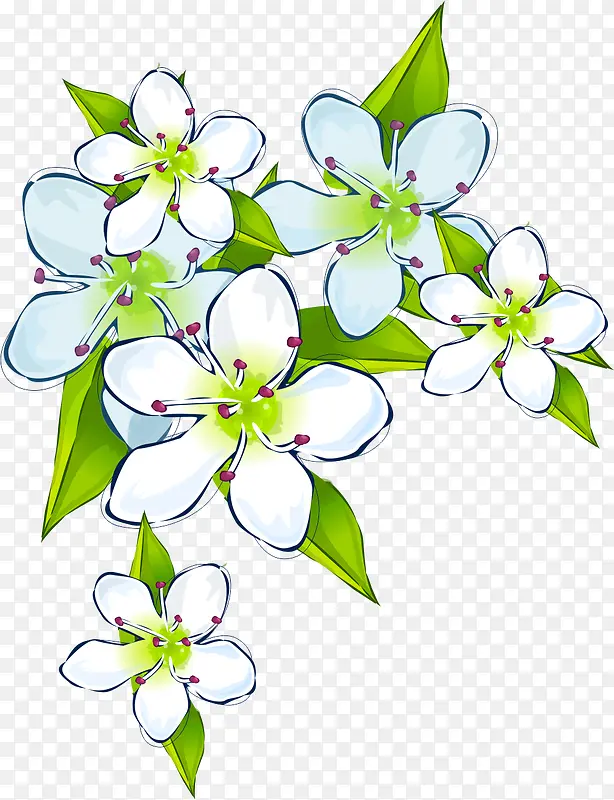 白色手绘花朵