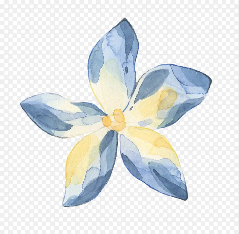手绘五叶花