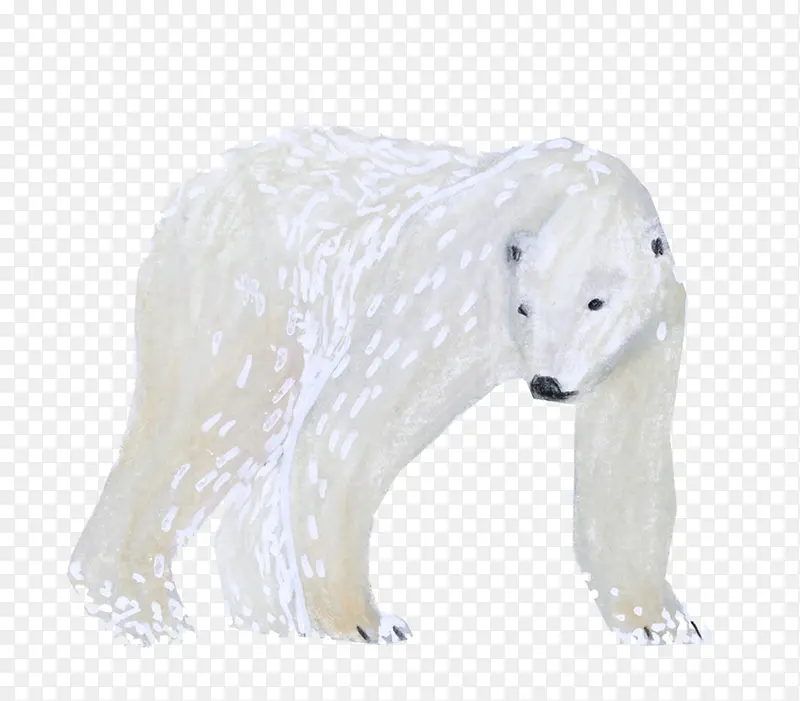 野生动物北极熊免抠图