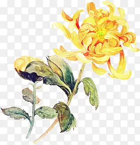 合成手绘鲜艳的黄色菊花