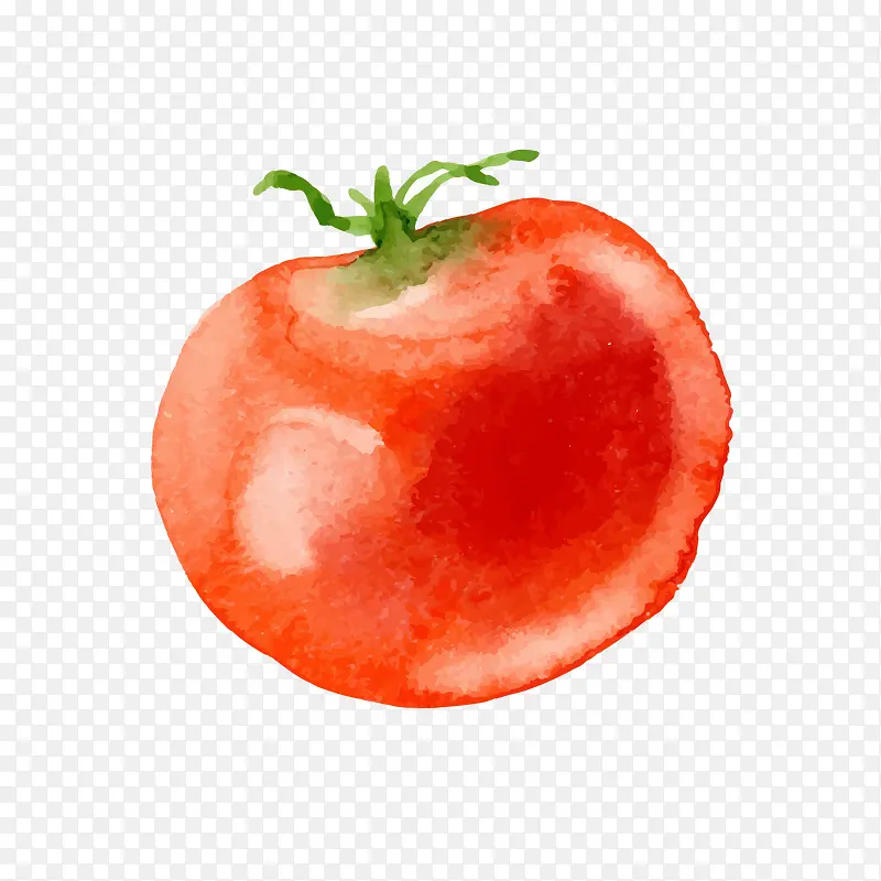 手绘红色西红柿矢量图