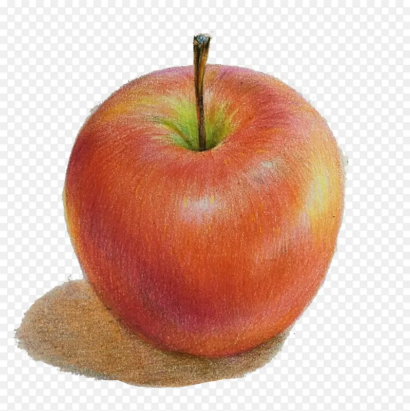 手绘写实苹果免抠素材