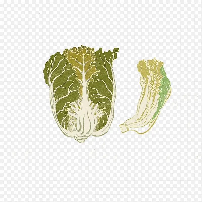 写实手绘蔬菜