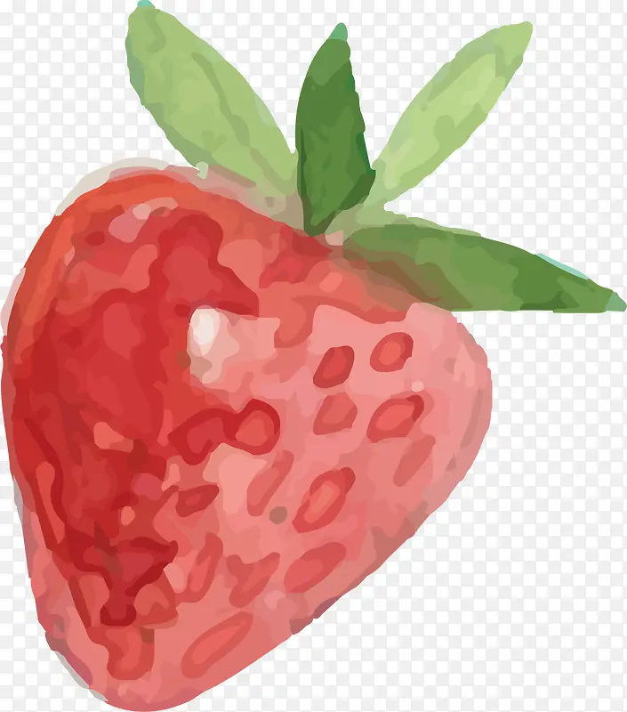 卡通水彩草莓插画设计