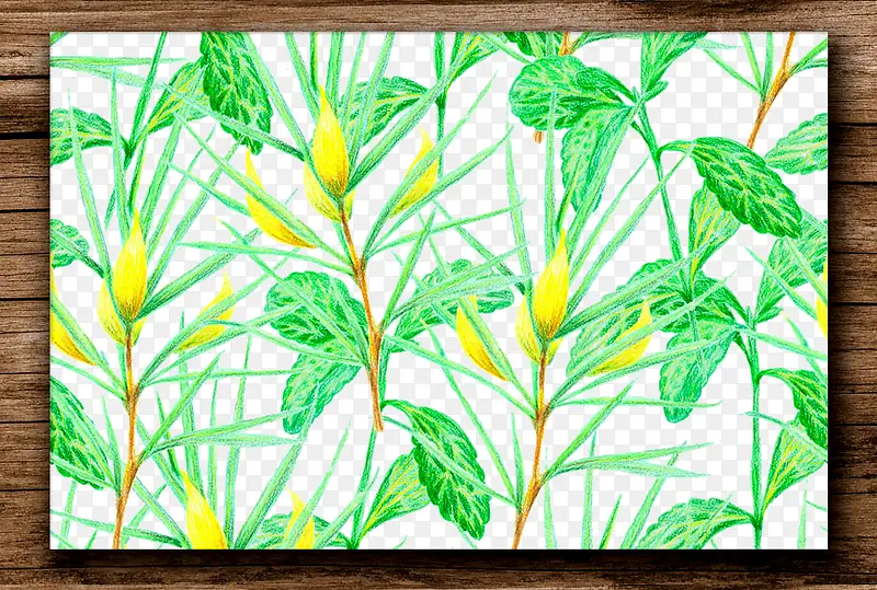 手绘植物叶子图案