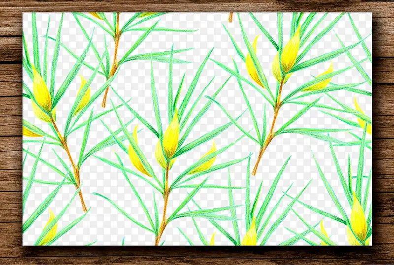 手绘植物图案边框