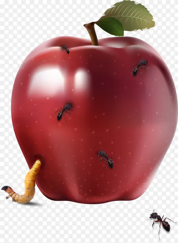 坏苹果
