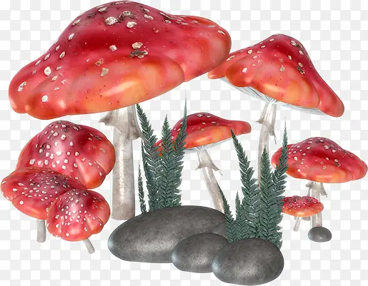 一堆红色蘑菇