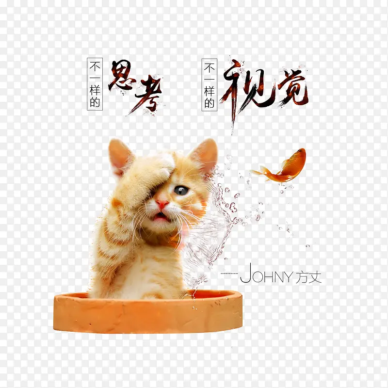 小猫和鱼