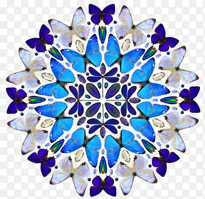 蓝色蝴蝶扩散形花纹图案