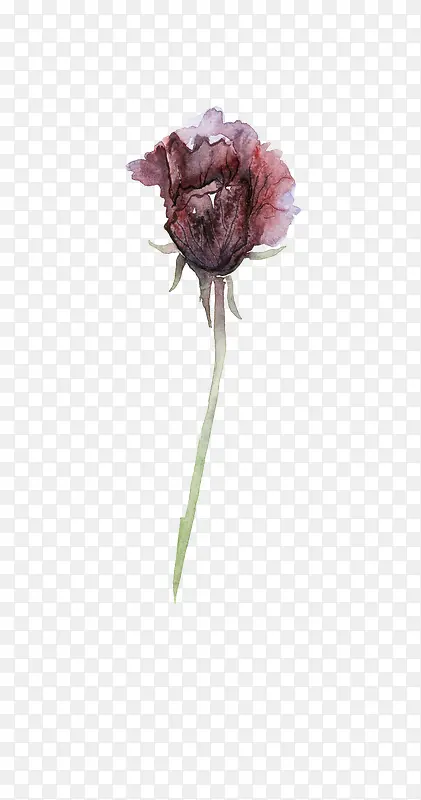 暗黑花卉