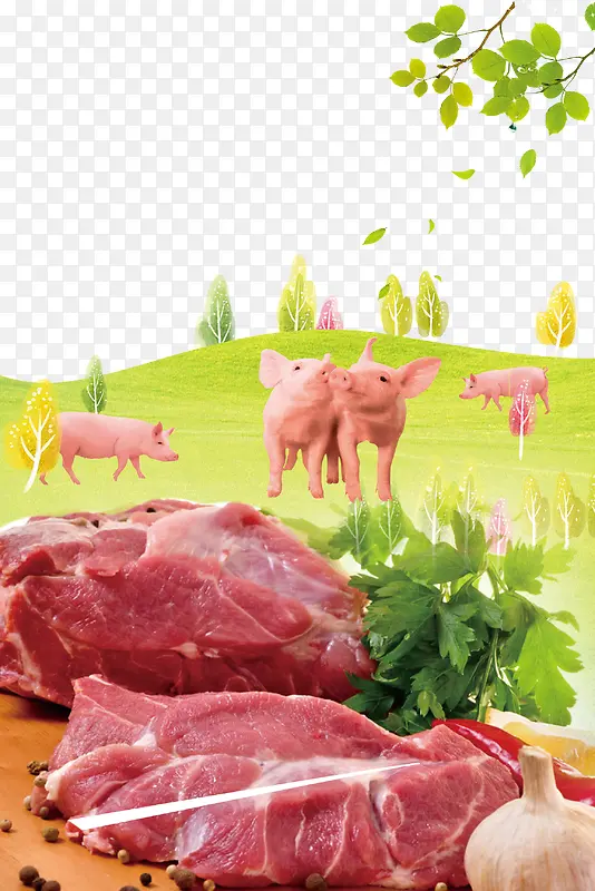 绿色生态猪肉素材背景