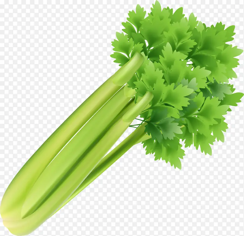 健康绿色蔬菜