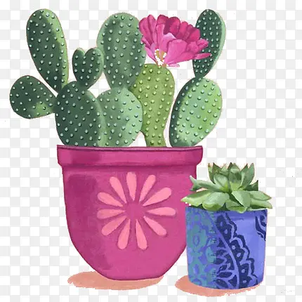 手绘仙人掌开花素材