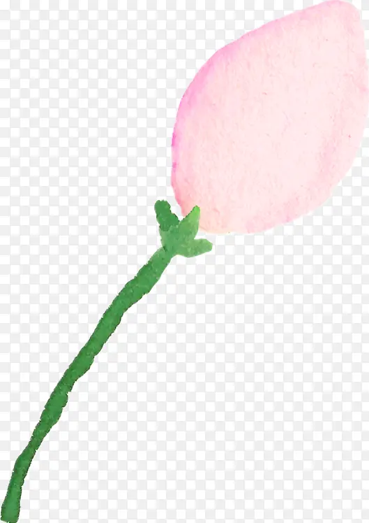 水彩的花朵