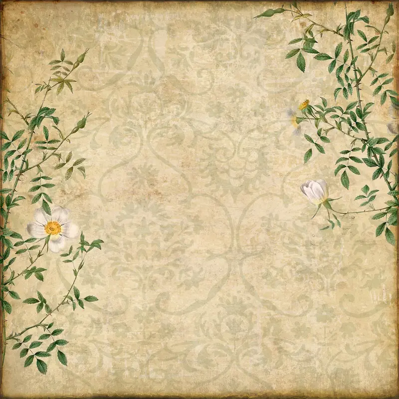 绿色枝条和花朵背景素材