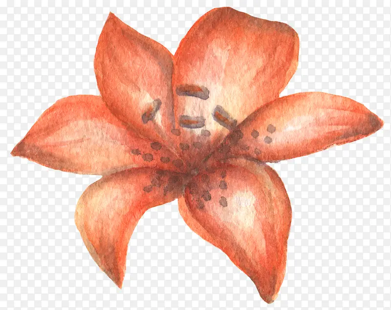 清新森系水彩橘红色花朵