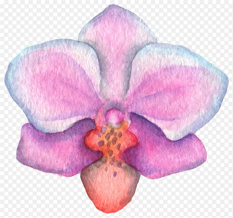 清新森系水彩粉红色花朵