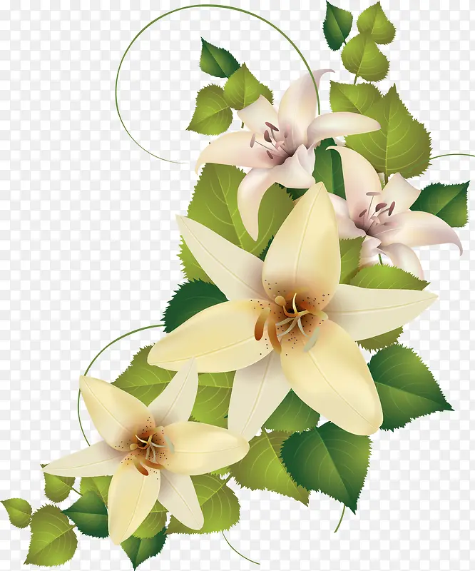 中秋节手绘白色花朵绿叶