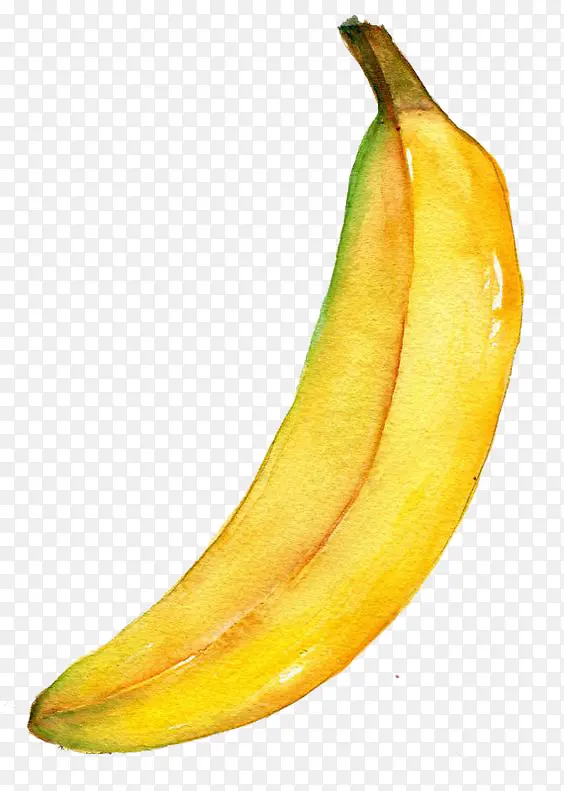 手绘金黄色的香蕉